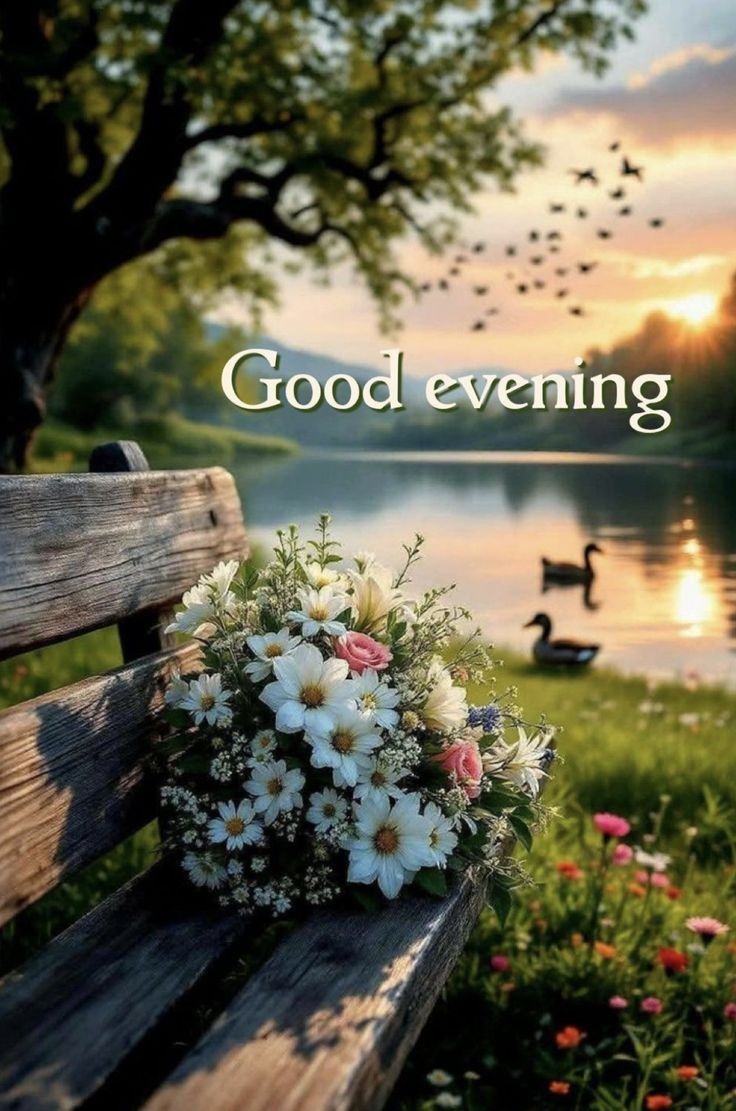 Good Evening x Factor Have A peaceful evening