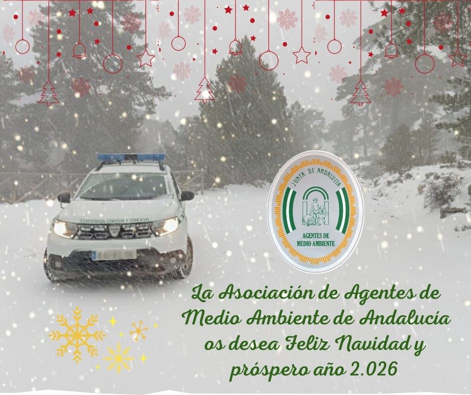 aamaa_es's tweet photo. Os deseamos paz y prosperidad en estas fechas tan señaladas y que disfruteis de nuestro entorno natural con la máxima responsabilidad y respeto.

A los compañeros que os toca trabajar en estos dias festivos, 
¡¡ FELIZ NAVIDAD Y FELIZ AÑO NUEVO A TODOS !!

🎄🦌✨🎅🏼🎁🍇🥳🌿💫👩🏻‍✈️ https://t.co/sSp7LQhrjg