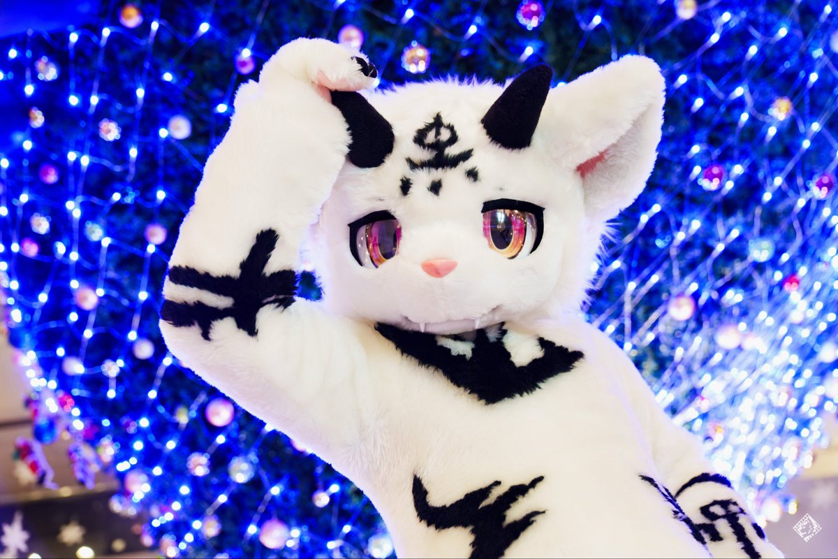 RongCChang's tweet photo. #FursuitFriday 
毛五年终独自美丽
📷：@Furry_Lutz https://t.co/srSlxN1N4r