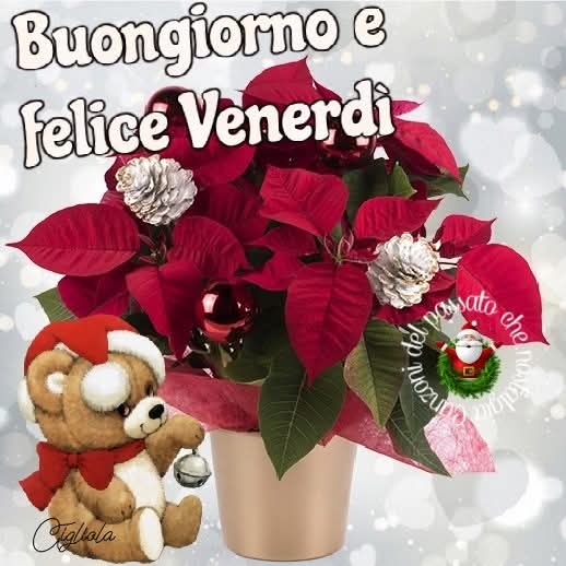 Marianna tweet media