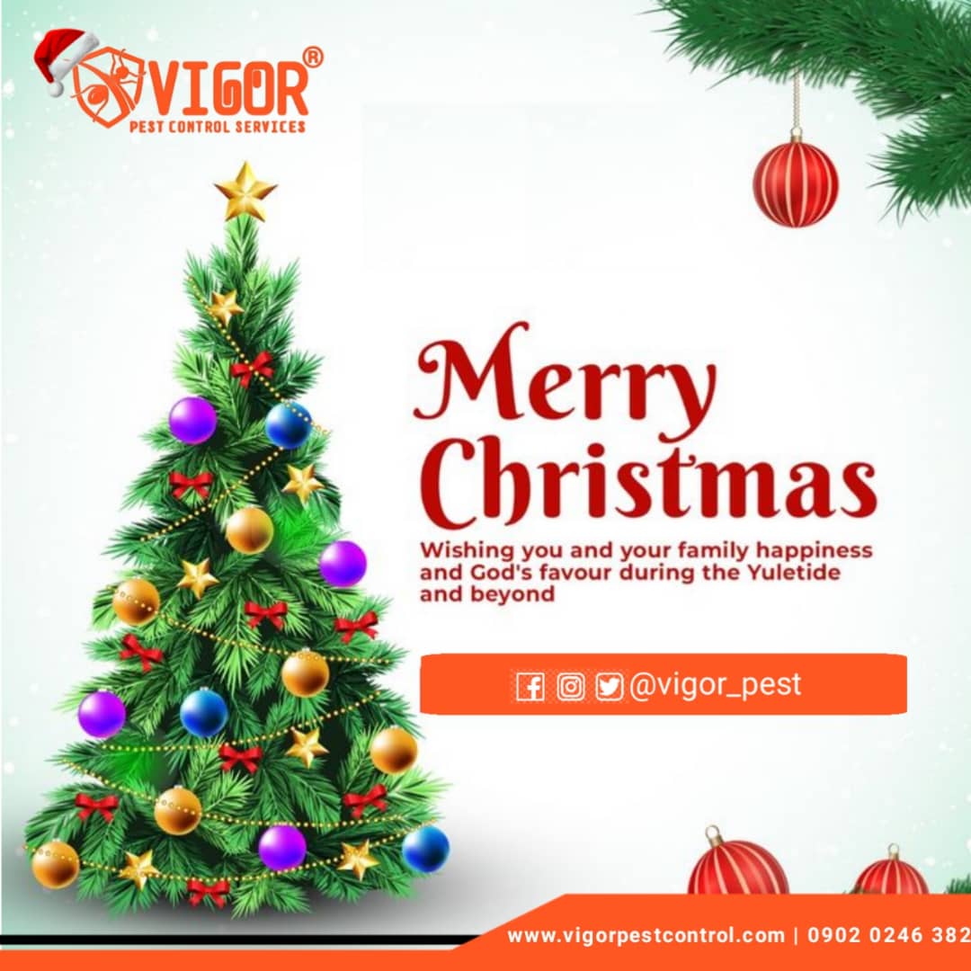 vigor_pest's tweet photo. https://t.co/dSJp732vPv