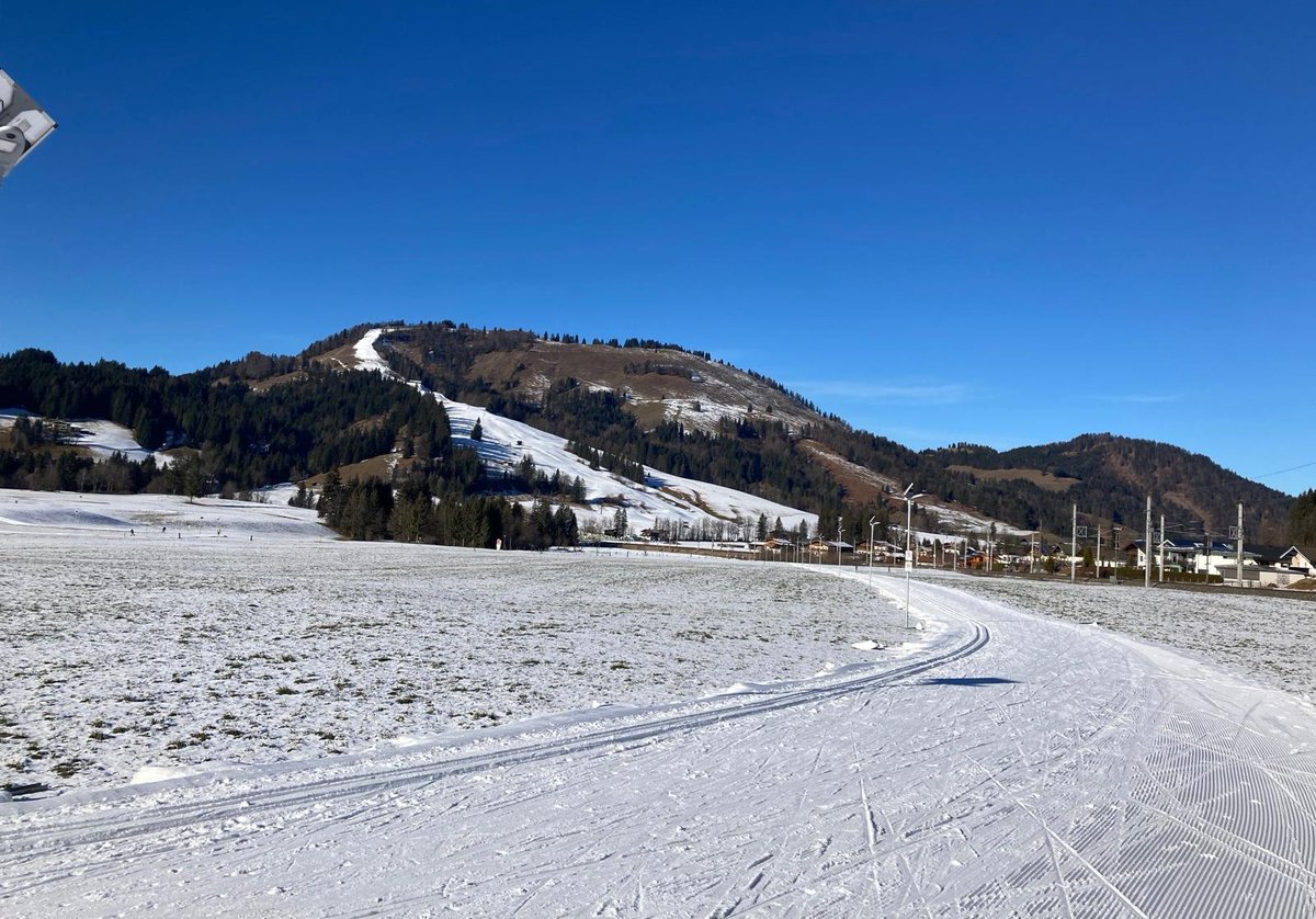 Leo van Gelder tweet media