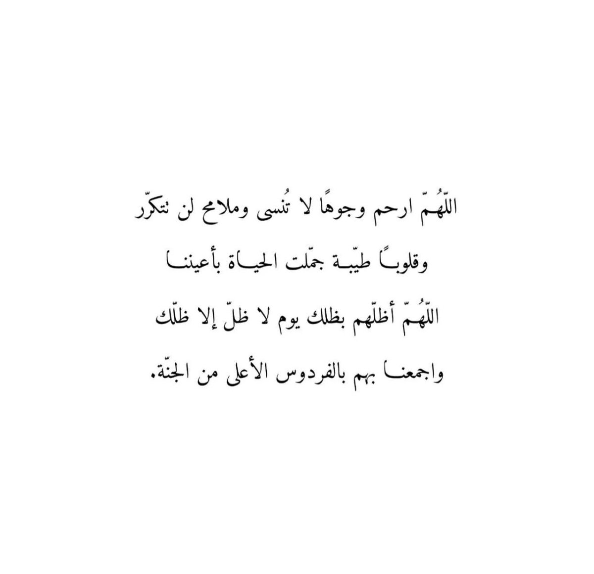 أريج ..☁️💕 tweet media