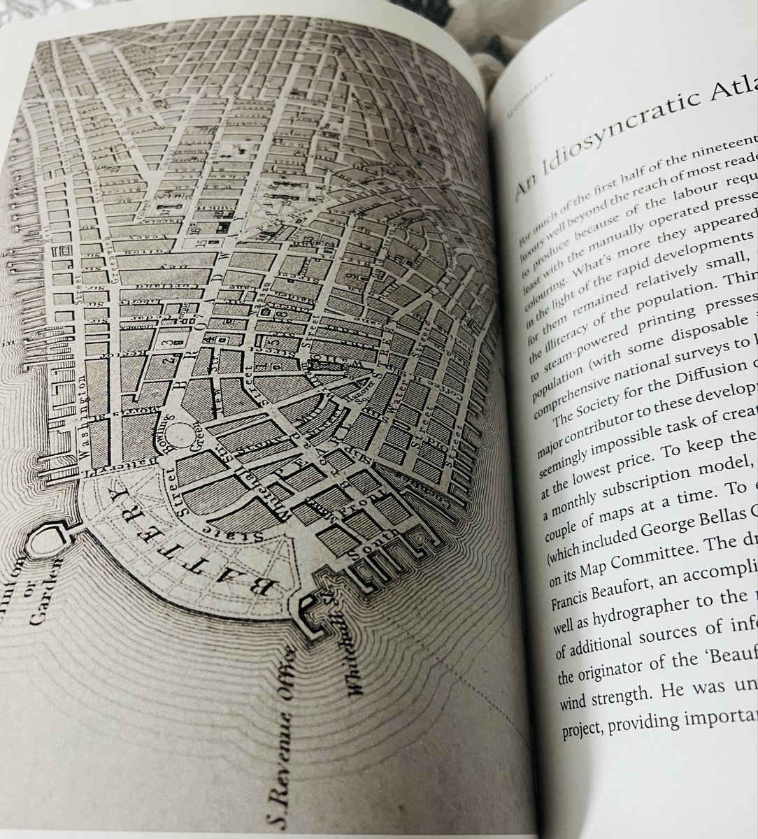 Astrid Williamson tweet media