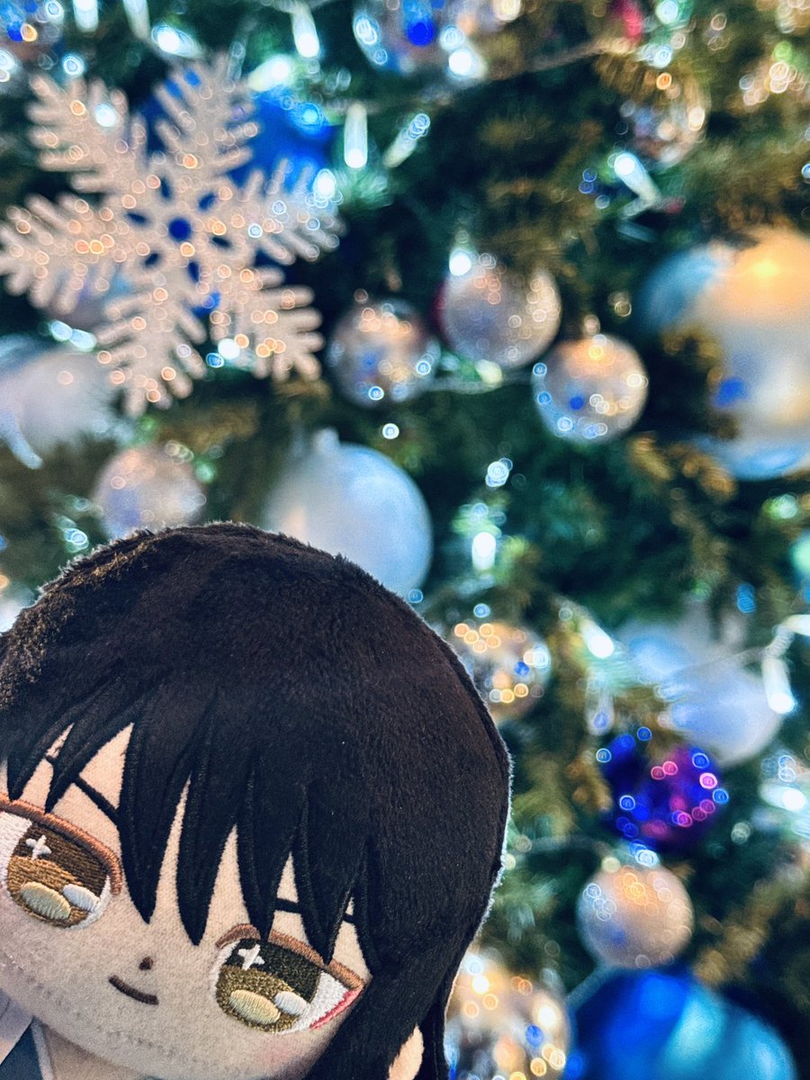 クリスマス🎄