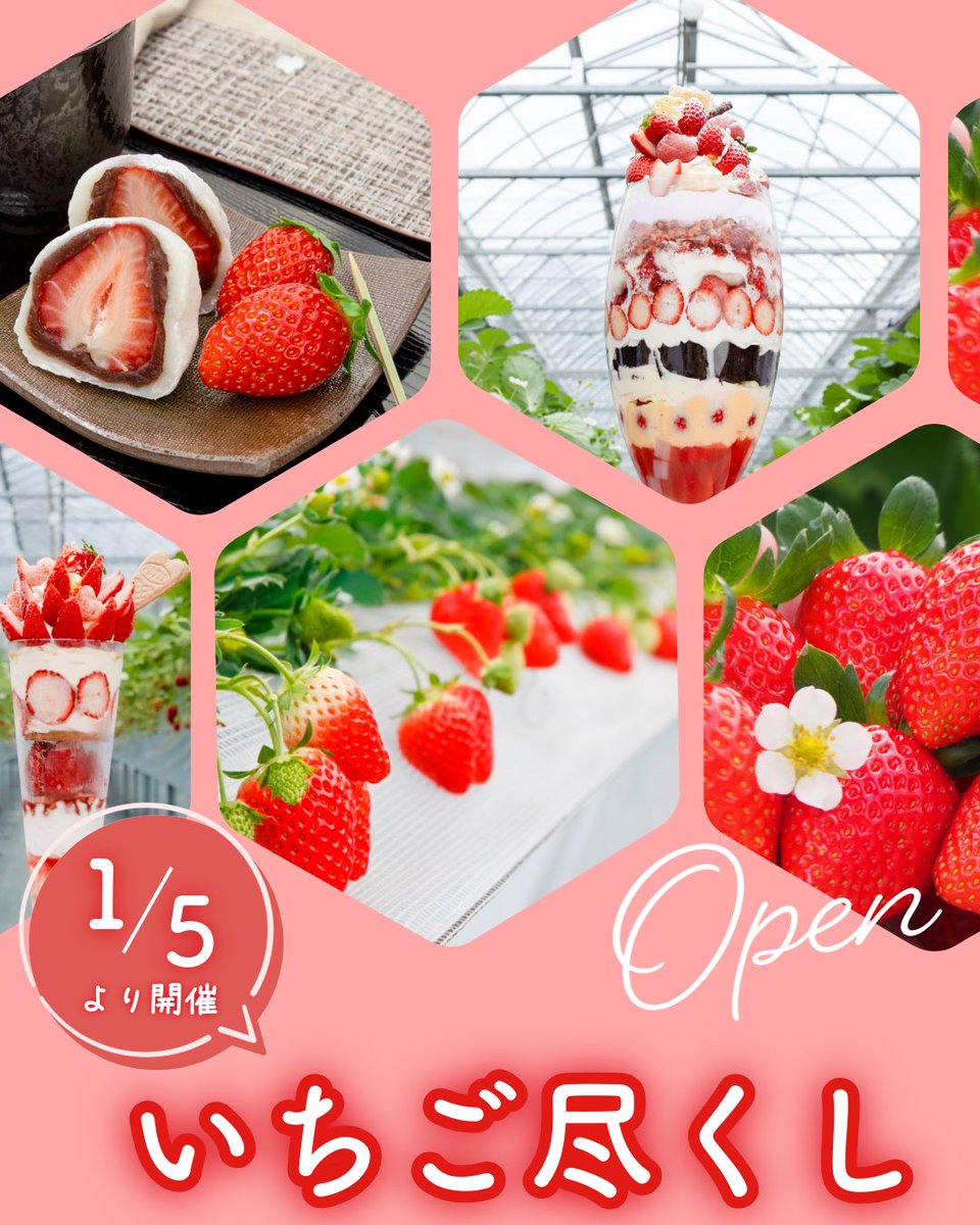 🍓1月5日(月) #いちご狩り START！ 予約受付中🍓 ミツバチが育てた甘く