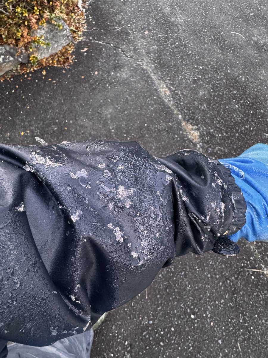 mgasta25's tweet image. 石を洗ってたらこれ。
めっちゃ寒い。