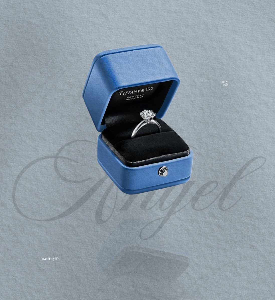 Z ›Æ‹ YN’ in love tweet media