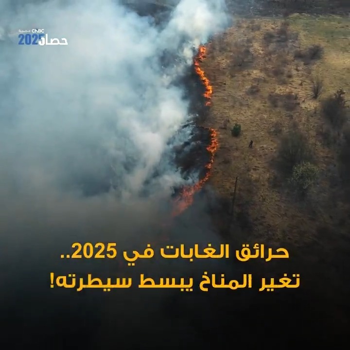 عام 2025.. واحد من أسوأ أعوام حرائق الغابات عالمياً #حصاد_2025 