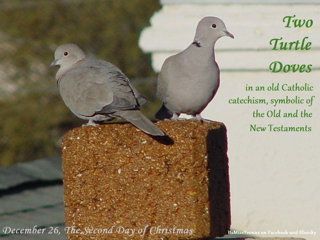 MYvonne10054's tweet photo. THE TWELVE DAYS OF CHRISTMAS
December 26, The Second Day of Christmas
#Jesus #jesuschrist #christian #christianity #Christmas #LearningAboutChristmas #LearningChristianity #ChristianTraditions #noel #joyeuxnoel #FelizNavidad #FroheWeihnachten #BabyJesus #ThoughtfulChristianity https://t.co/YquwGcLbPy
