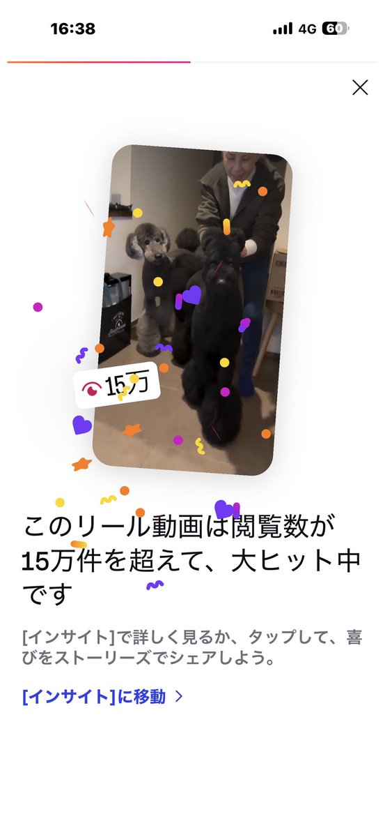 忍耐の2025年でした。
まだ10月位の感覚です。
最近ドリのインスタがバズっています。本当に相棒犬ドリには感謝です。
