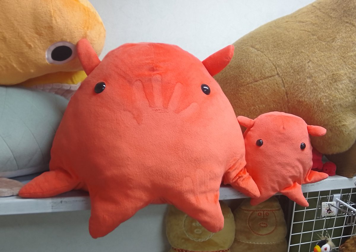 皆様、本年もありがとうございました<(_ _)>
こんな感じで景色の変わらぬ一年でございました。
来年はウマ娘ですが先ずは新春の↓↓映画でも楽しみに
年末を過ごしまして年明けには復活の奇面組にて
来年はA-SHOWさんの大きな躍動に期待しつつ！？
良いお年をぉ～～おぉ～ ('◇')ゞ

営業A