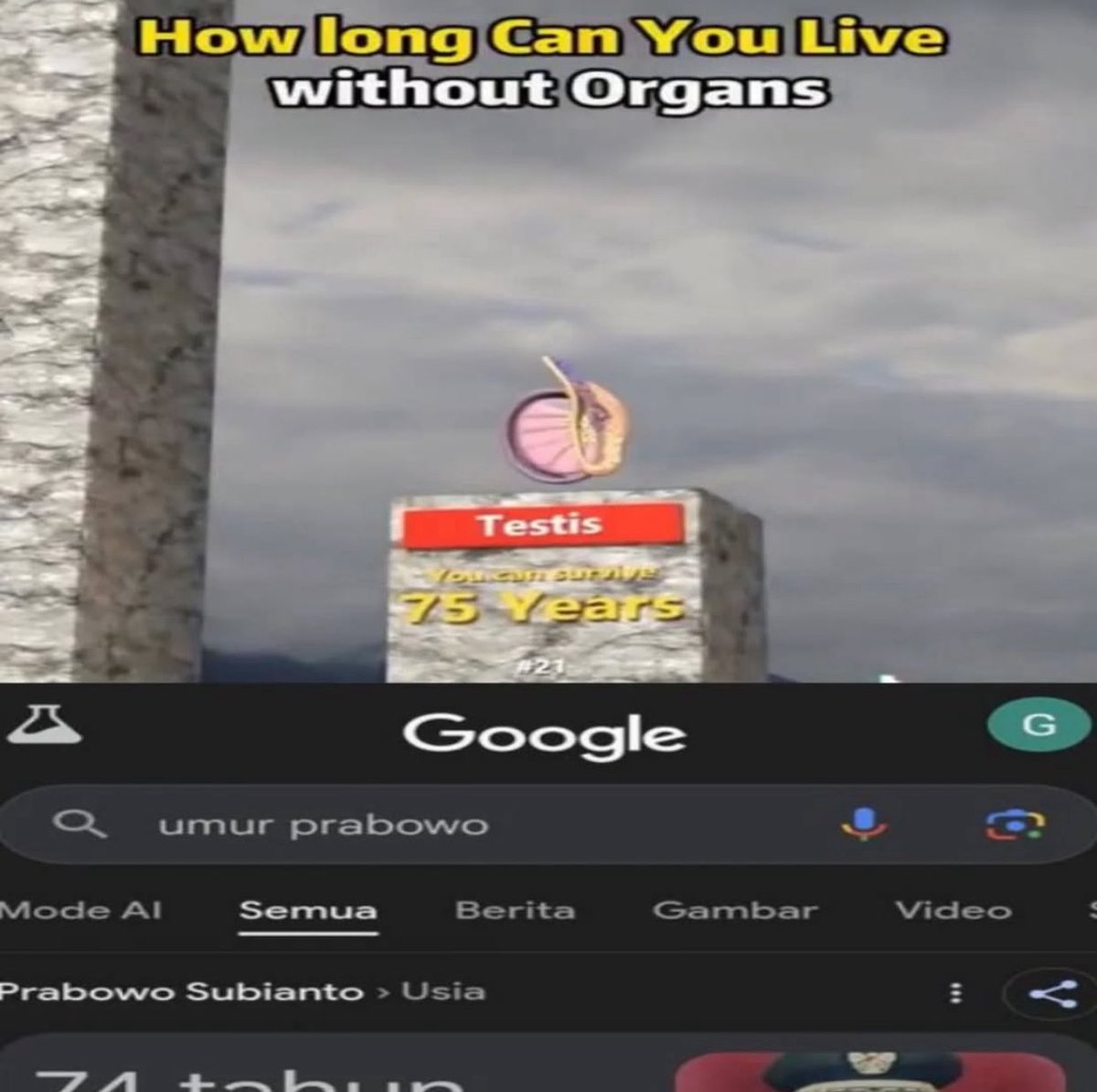 myshawti's tweet image. 