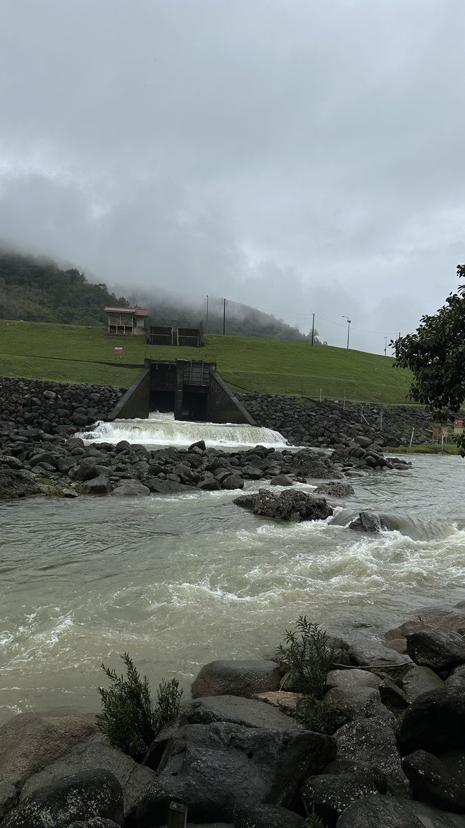 nelly (@xxflii) on Twitter photo 