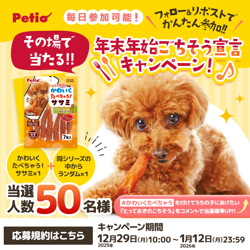 papion (@369mofumi) / Posts / X