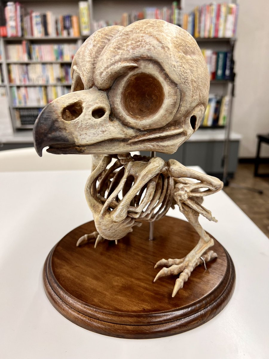 ブッコローの骨格標本かわいすぎる🦉📕