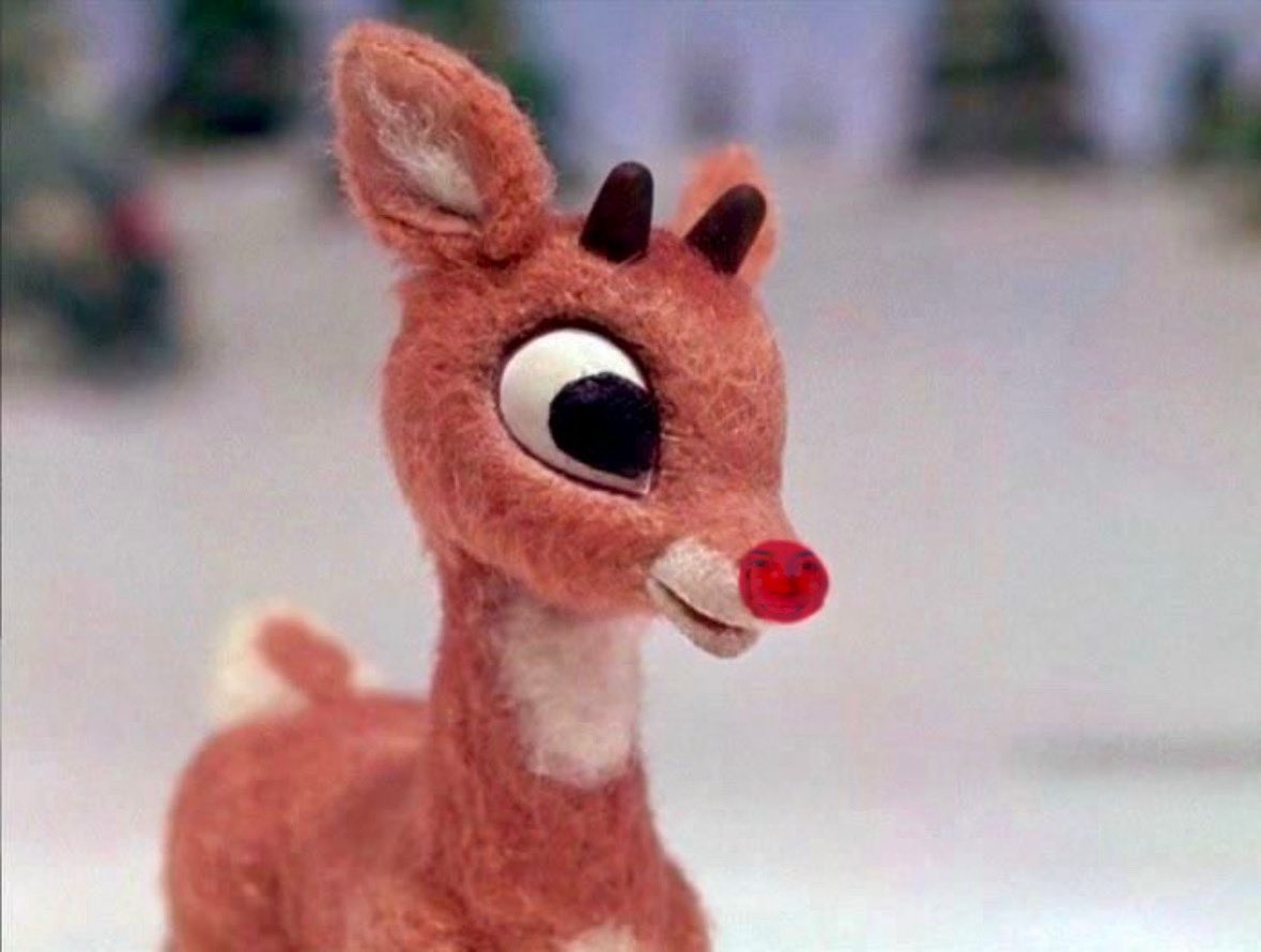 redpandastri's tweet image. rudolph the fred nosed reindeer