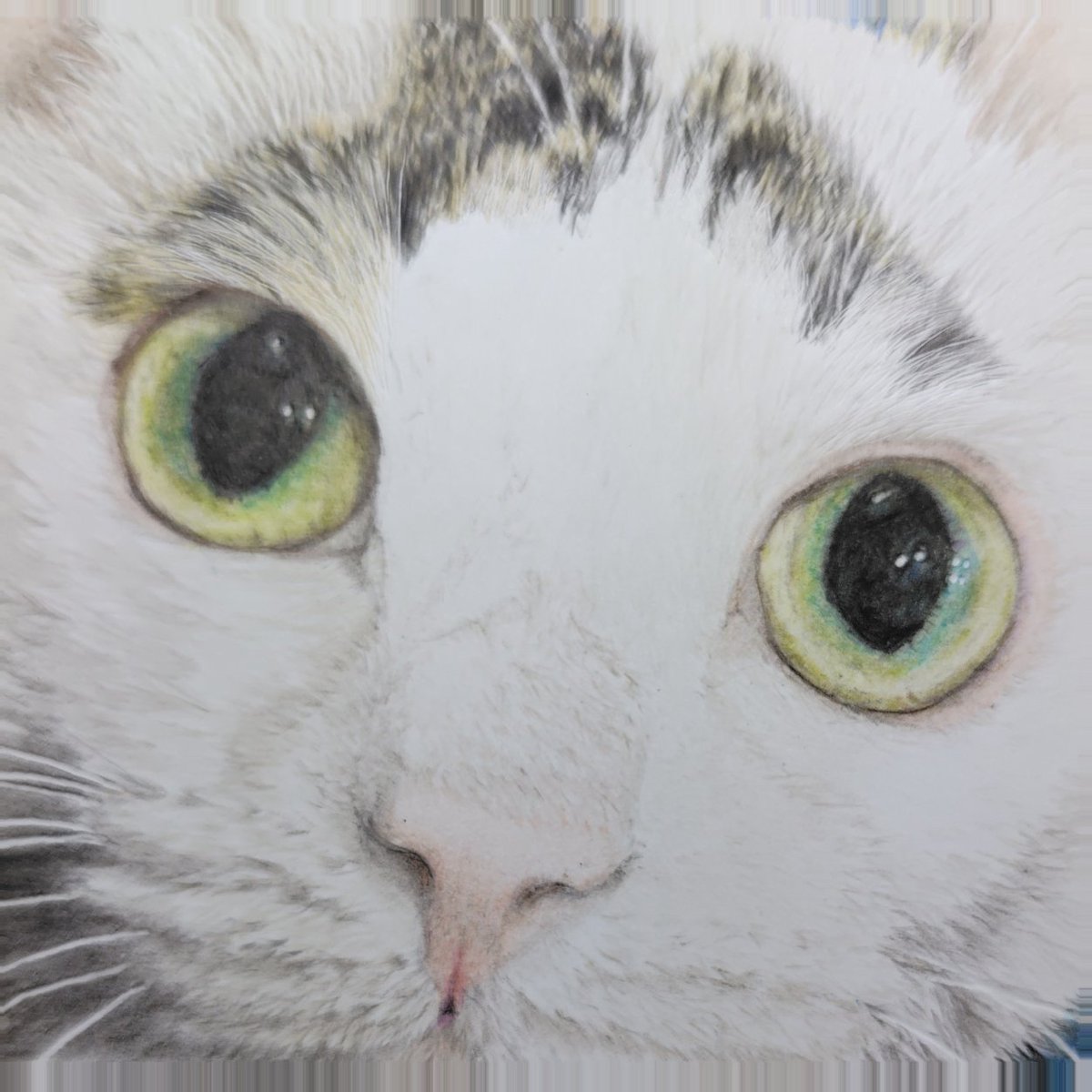 初めて半年で4枚描けました(∩´∀｀)∩ﾜｰｲ #2025年自分が選ぶ今年