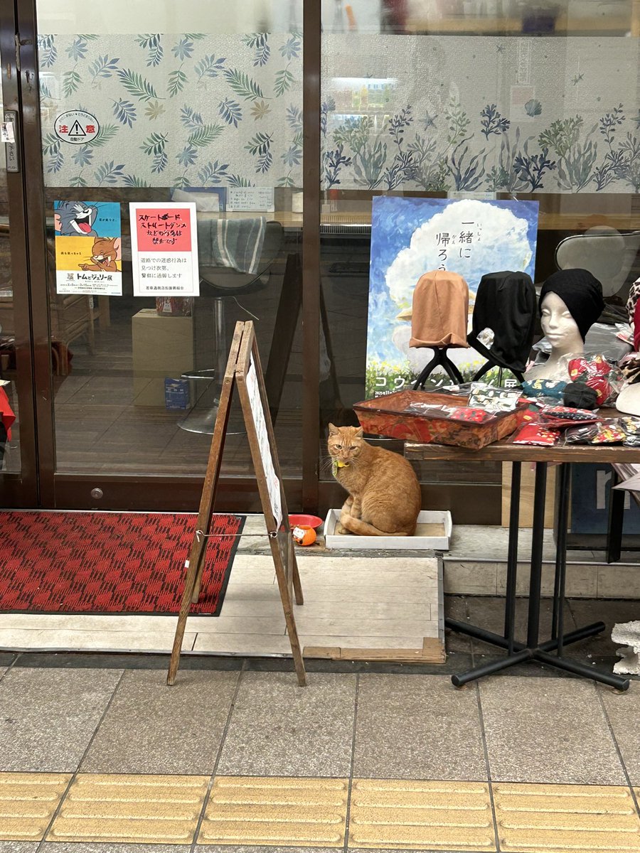 ケイコオンニ (@keonni1227) / Posts / X