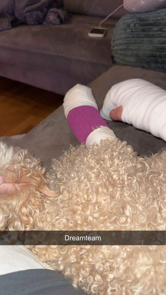 Giorgo 🇬🇷🐎 tweet media