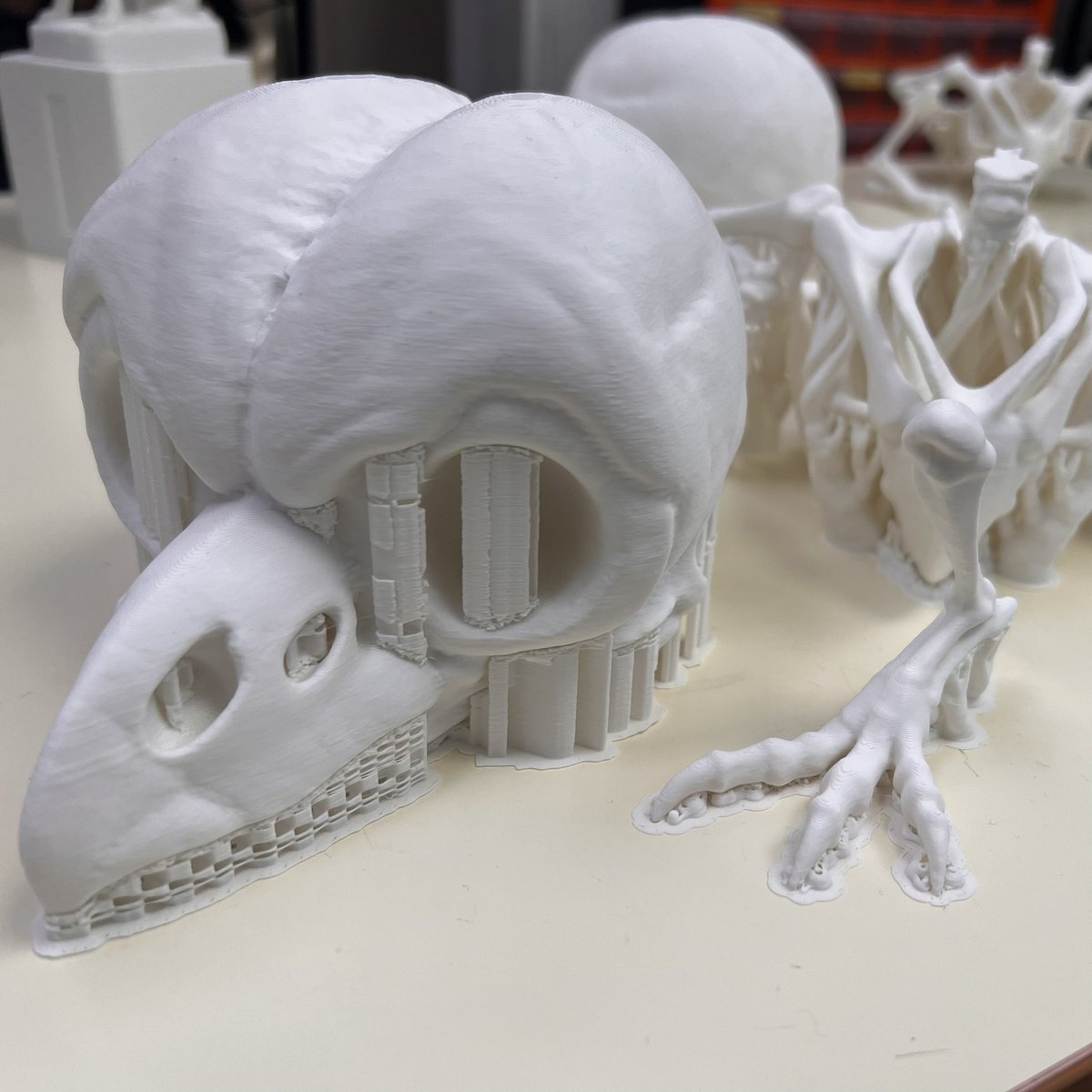 ブッコローさん骨格標本の作成過程です。（編集長松原） 3Dモデル製作