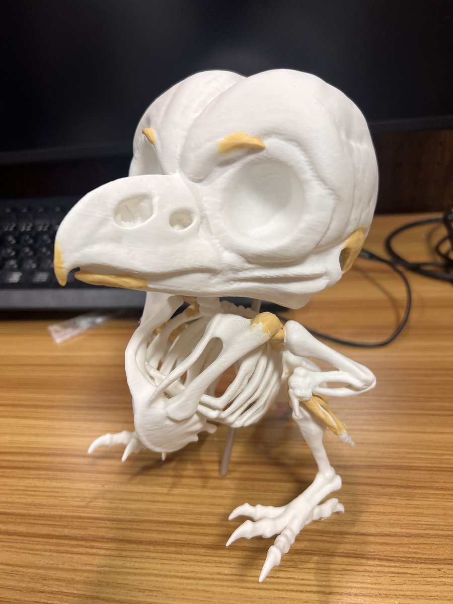 ブッコローさん骨格標本の作成過程です。（編集長松原） 3Dモデル製作