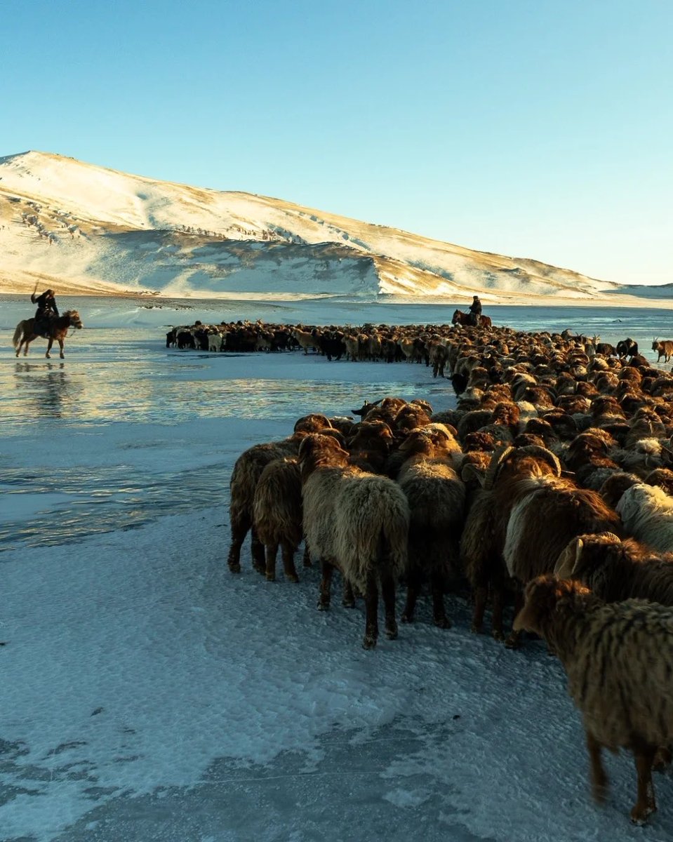 Wannawave (@wannawave) on Twitter photo 