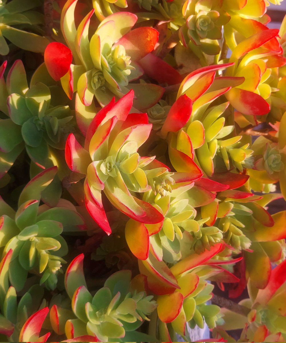 Maria Lea tweet media