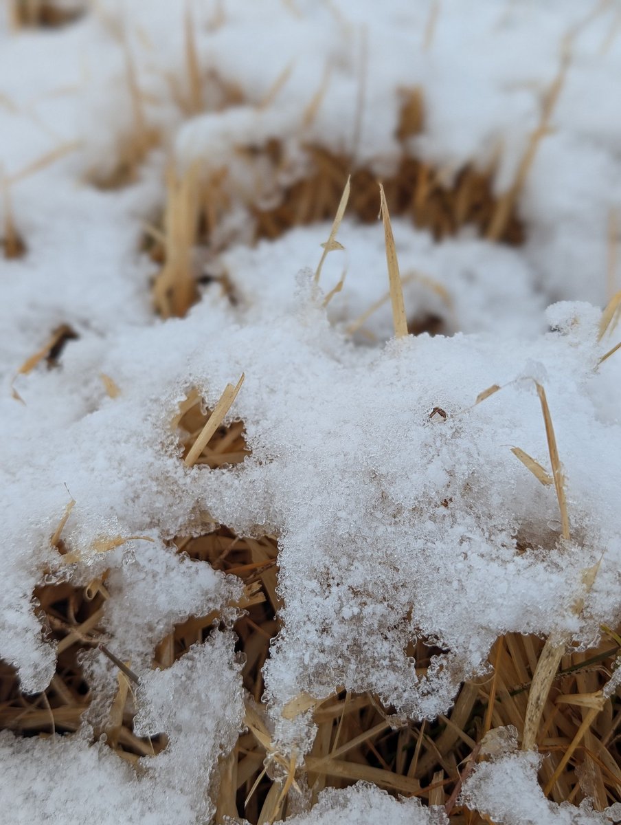 ゆきんこ (@yuki9274) / Posts / X