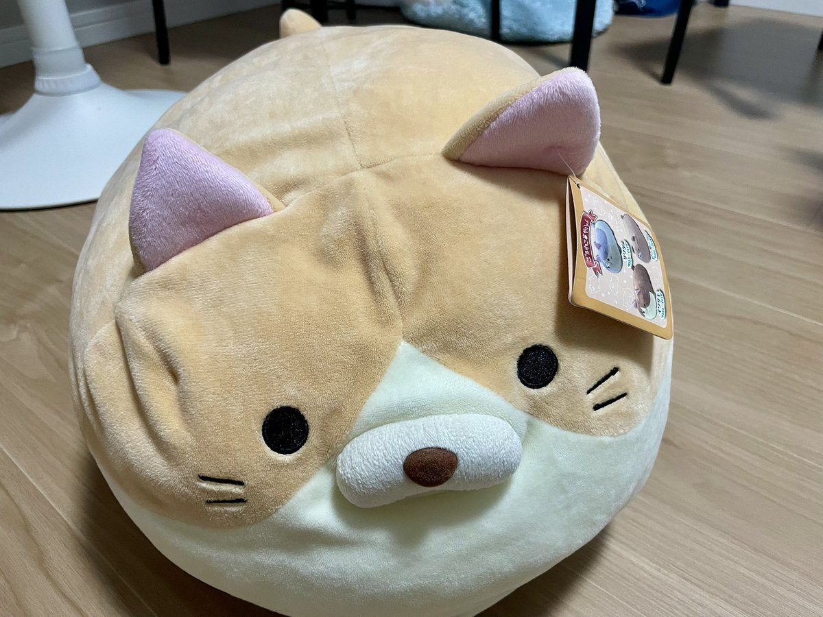 とむお@だるいぬ団2代目ボス (@Jey15559949) / Posts / X