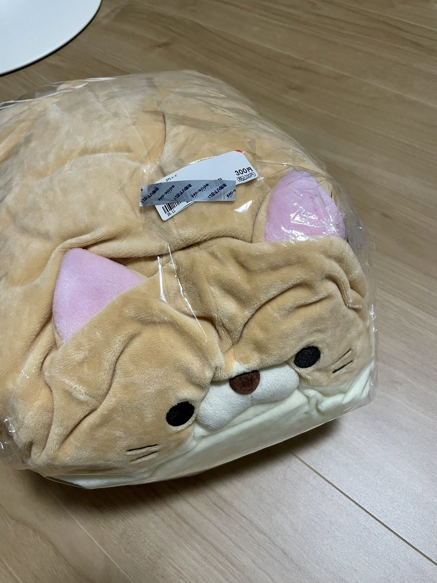 とむお@だるいぬ団2代目ボス (@Jey15559949) / Posts / X