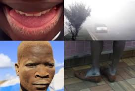 The changing times, did you notice?
Christmas without Harmattan is not a coincidence, it’s a warning.
When familiar seasons disappear, it means the climate is changing faster than we admit. 
Nigeria.
#Adapt2Live 
#Christmas2025 
#AFCON2025 
#GIFSEP