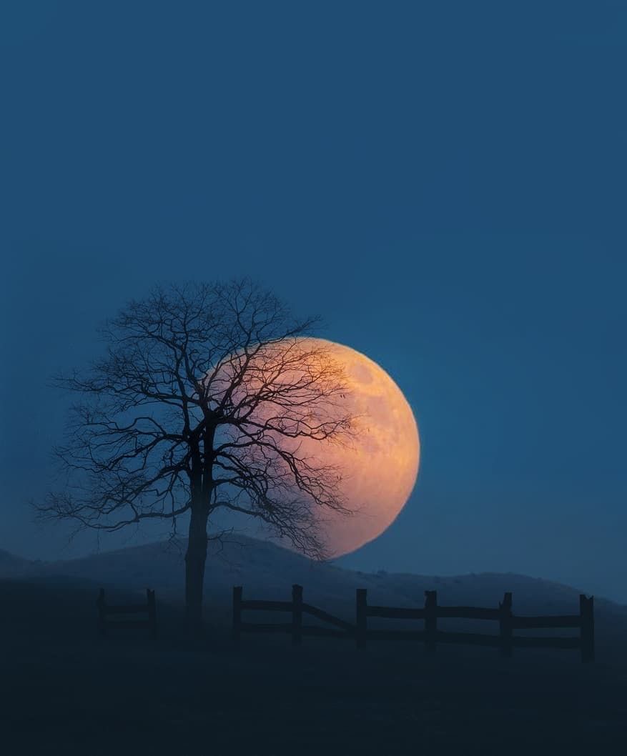 MOON (@dailymoonx) on Twitter photo 