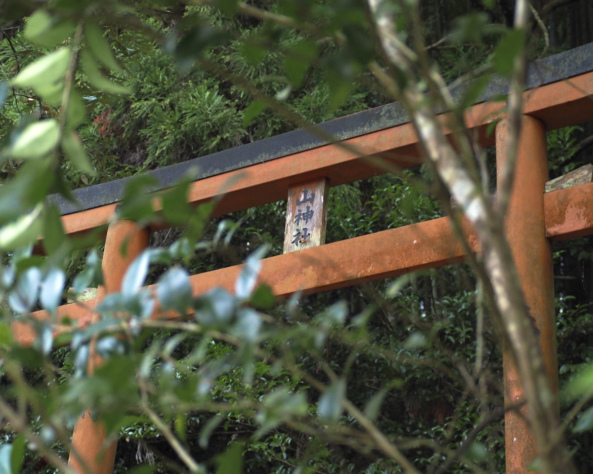 山間に佇む神社 ひっそりと佇む金山の神様を祀る山神社。