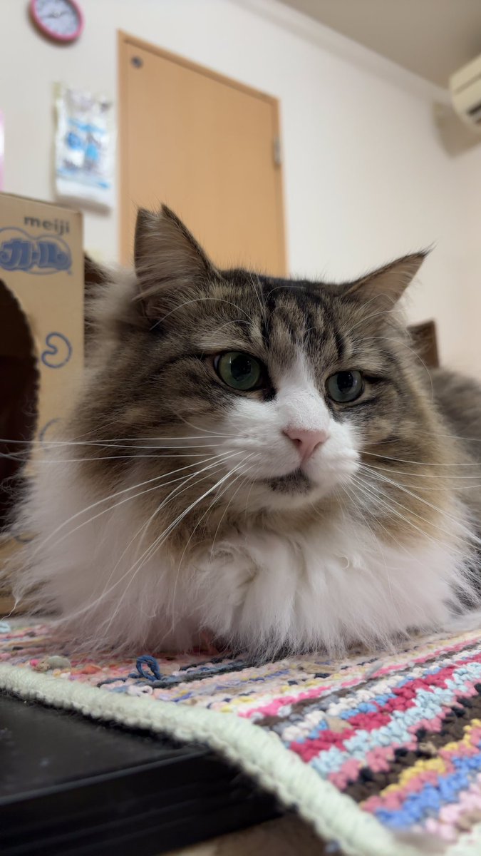 あんどわん tweet media