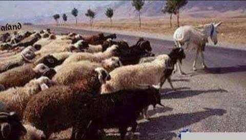 Khalid (@khalid966865821) on Twitter photo 