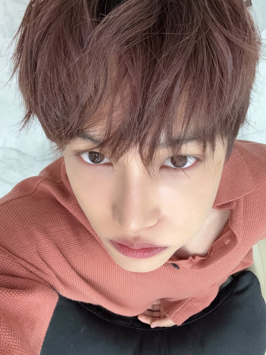 Jongkai tweet media