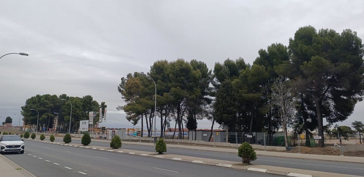 marco_aesp's tweet photo. Lo de #Oaxis GLP #VillaVerde Hay tres áreas en las que predominan pinos de gran porte, todo apunta a que se salvan de la tala https://t.co/MzOwlyEDlQ