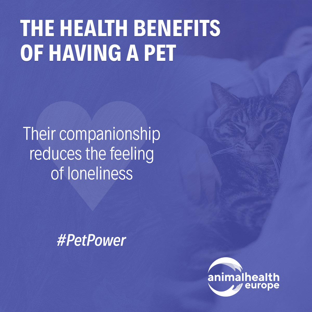 animalhealthEU's tweet photo. Time spent with our beloved pets boosts wellbeing, reduces stress and builds connection 💕

Even more during holiday downtime! 😉
#HumanAnimalBond #PetPower https://t.co/wMa6z5evpW
