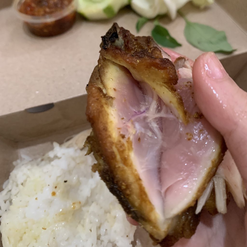 salmapusing's tweet image. udah kelaperan terus pesen makan malah dikasih ayam mentah ajgg 😭