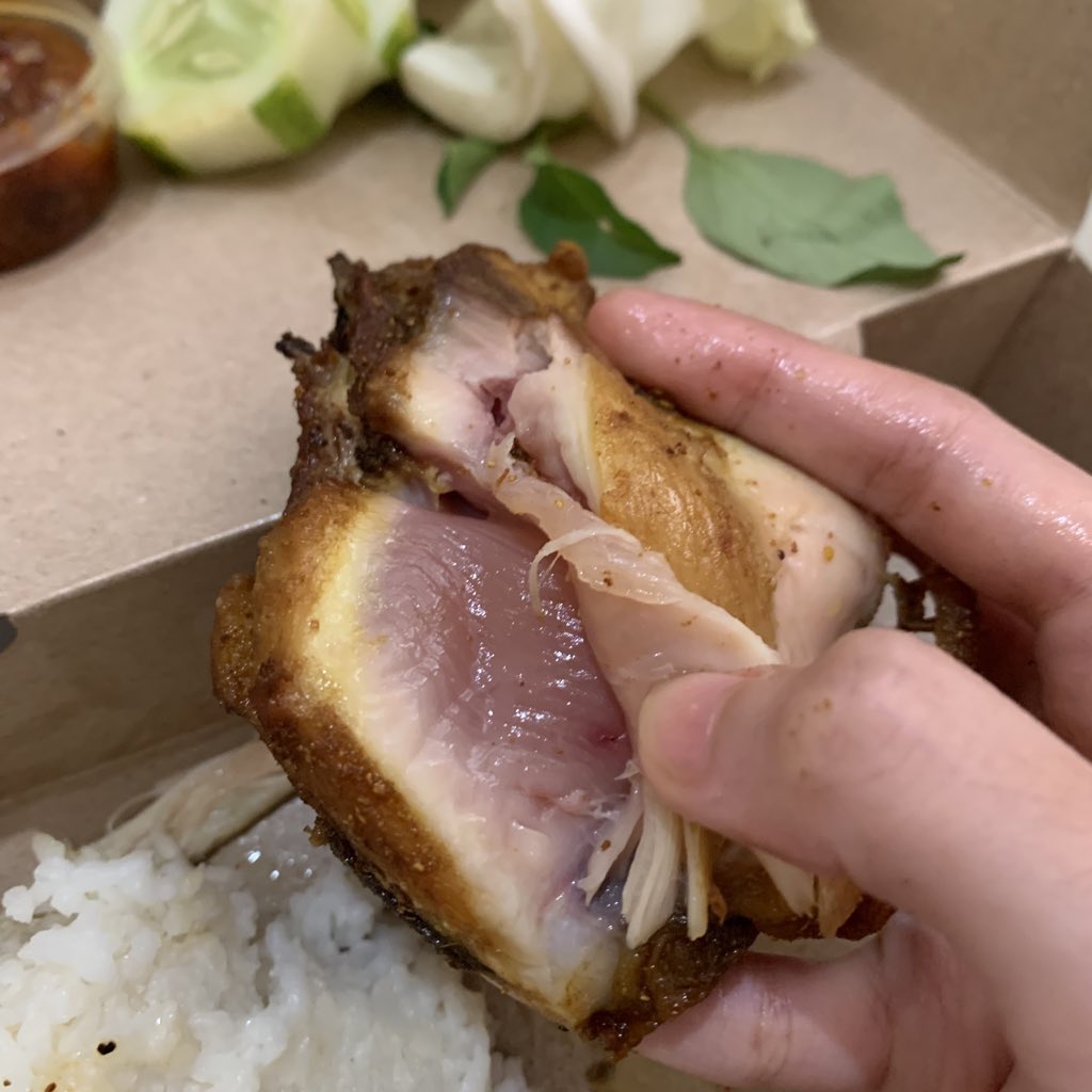 salmapusing's tweet image. udah kelaperan terus pesen makan malah dikasih ayam mentah ajgg 😭