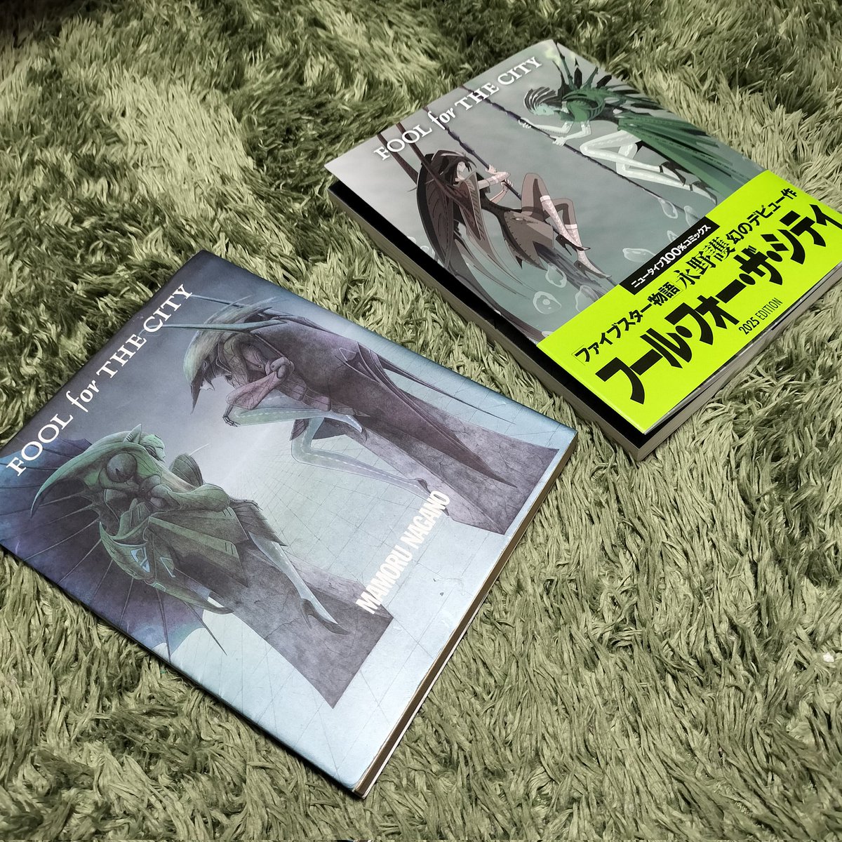 FOOL for THE CITY再販盤が到着。
オリジナルを買ったのは1991年、中1だったとき。まじで影響受けまくった漫画。高校の時Foghatの『fool for the city』が再販を買い逃したのも悔しい思い出。楽器やってるから楽しく読めるけど、スリーブノートは普通の人ワケワカランはず🤣
#永野護　#foolforthecity