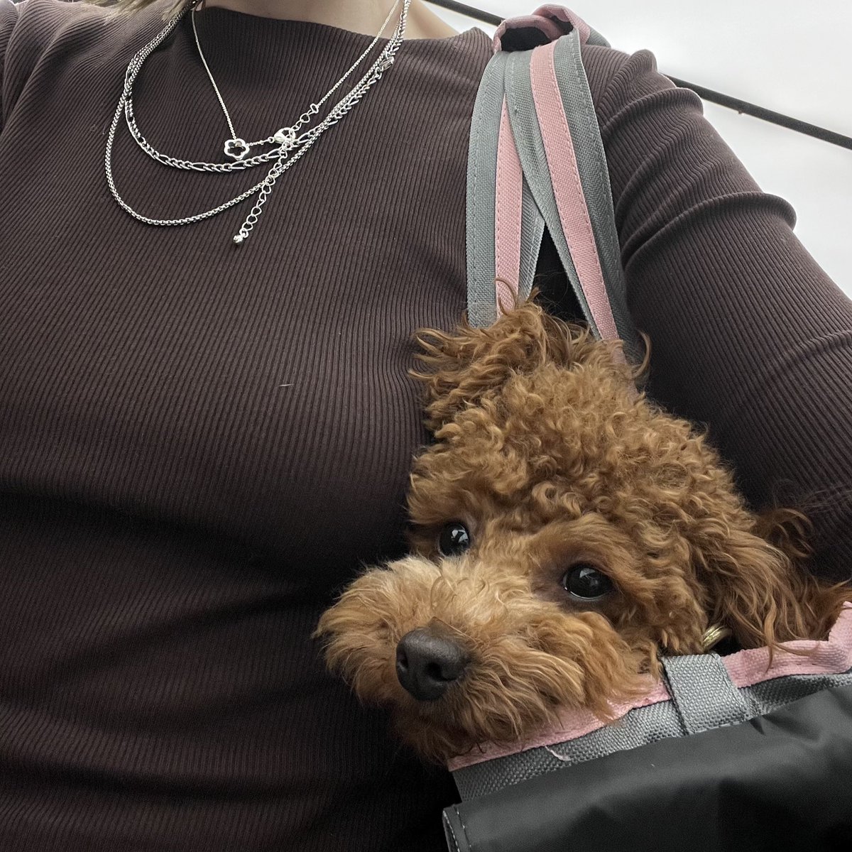 бубоцка справилась с перелётом на отлично!