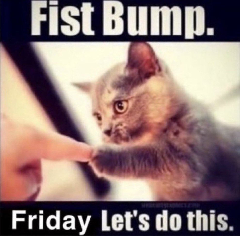 definitionrules's tweet image. 