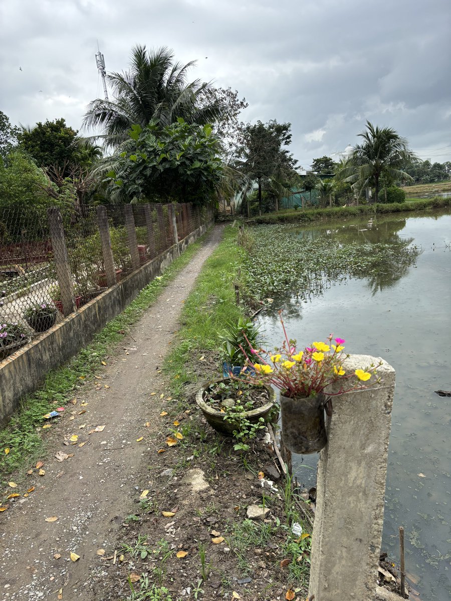 Tony Buổi Sáng tweet media