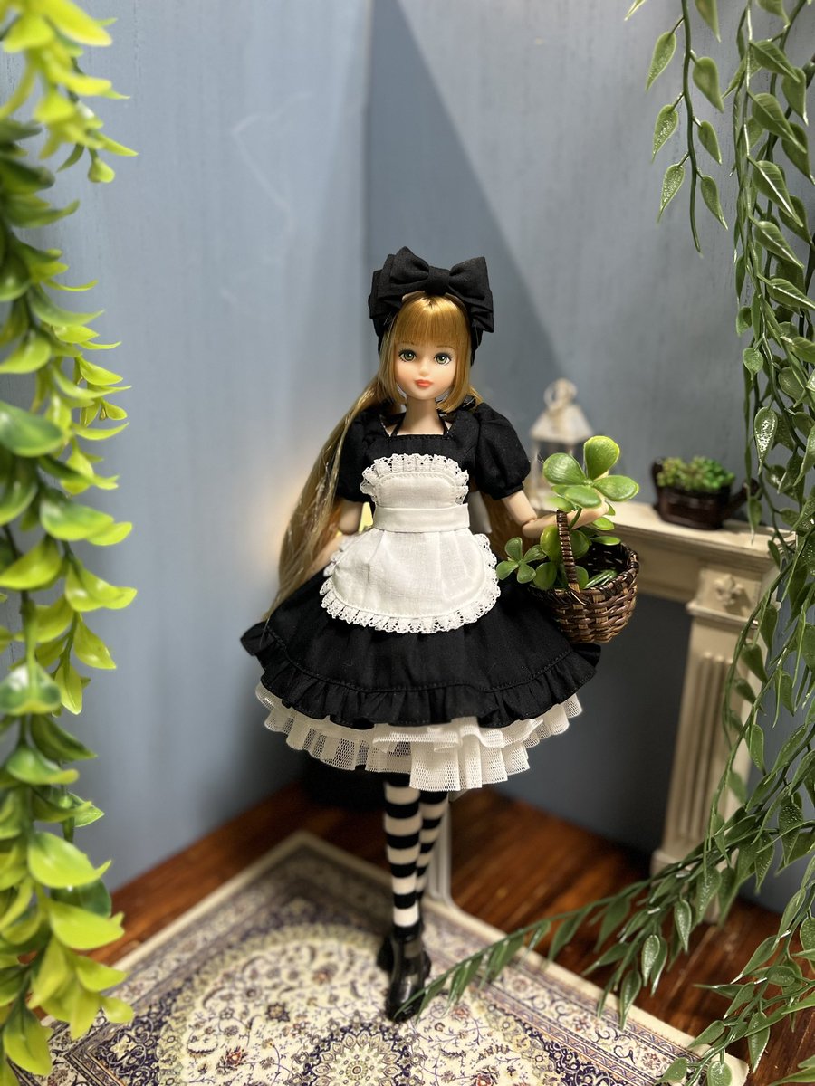 maple_tree_OP's tweet photo. おたのしみドール　シオン https://t.co/dGDPqPjaJo