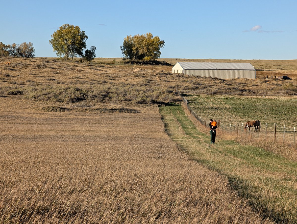 Very grateful to say that we're doing this

You can do it too

The hardest part is making the move

If your friends have doubts, just show them this—and move!