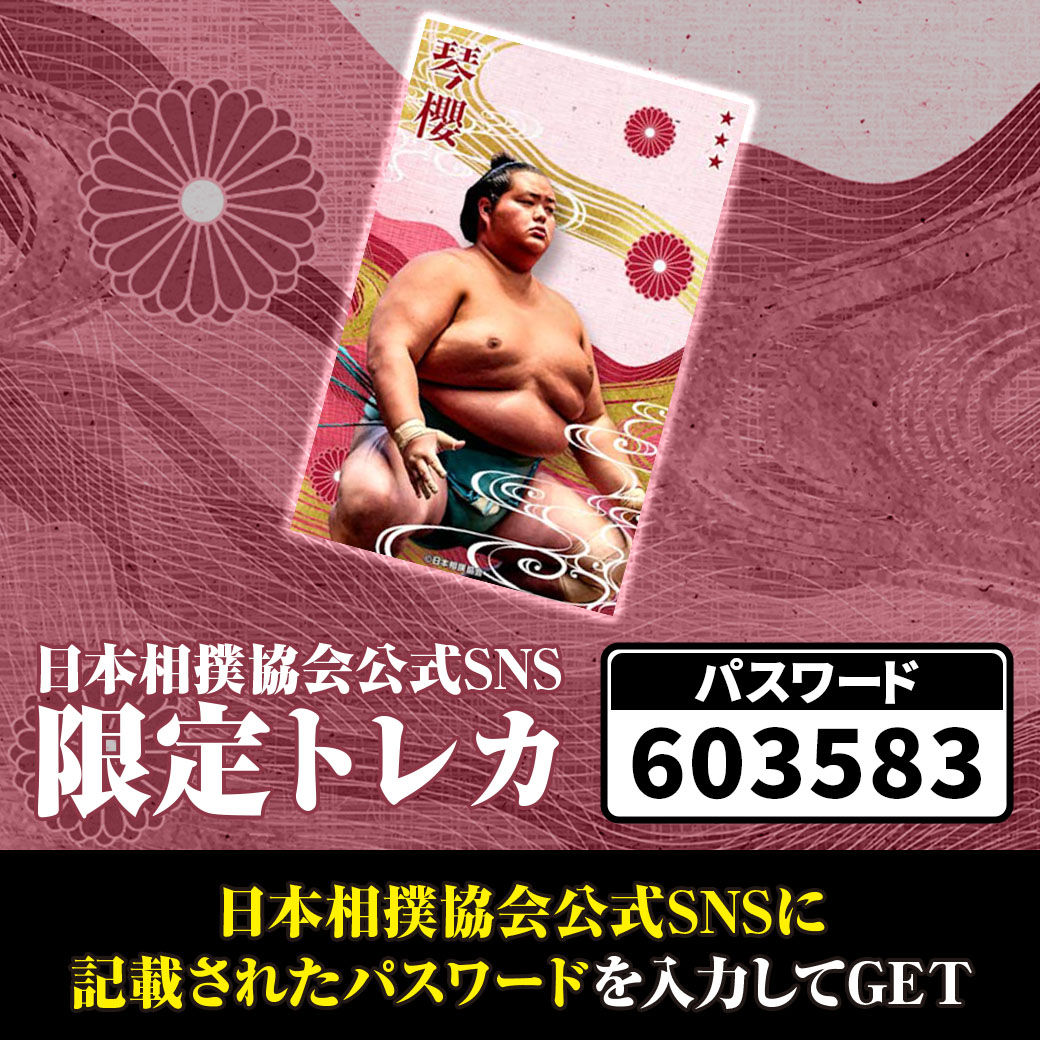 大相撲コレクション＞ 電子トレカサービス 大相撲コレクションにて