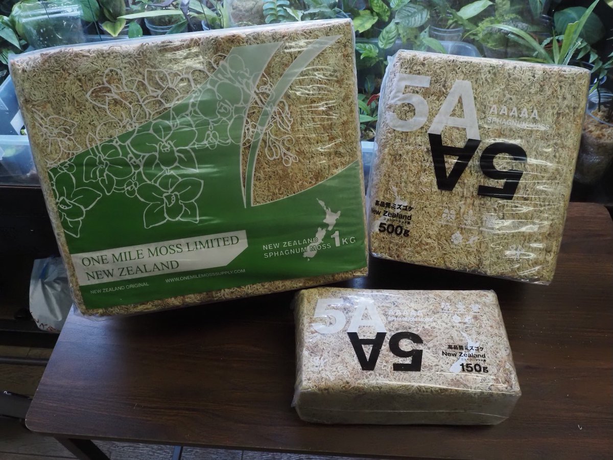 Kazuto☆大٩(ˊᗜˋ*)و阪☆ (@kazuto7481) / Posts / X