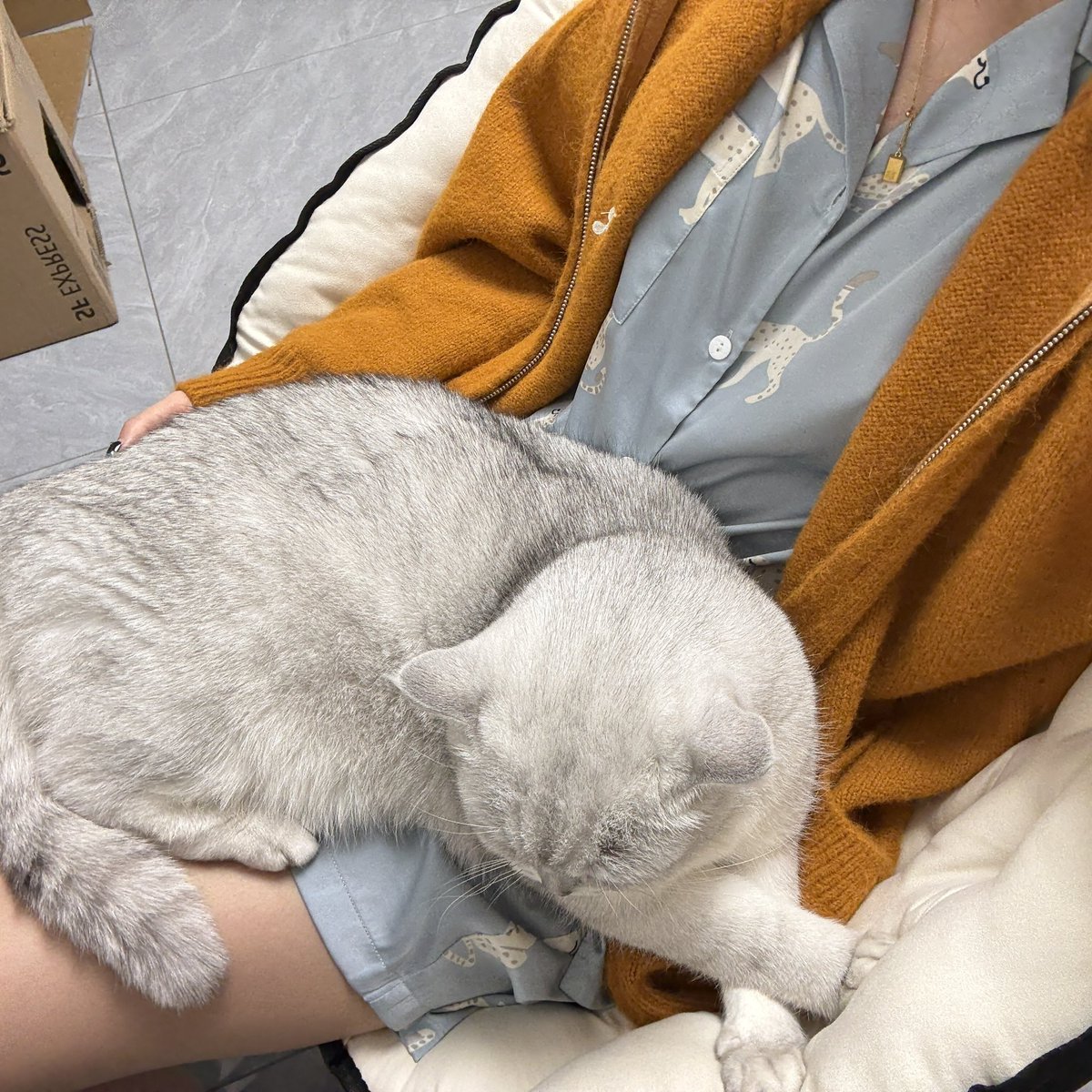 我想睡觉 tweet media